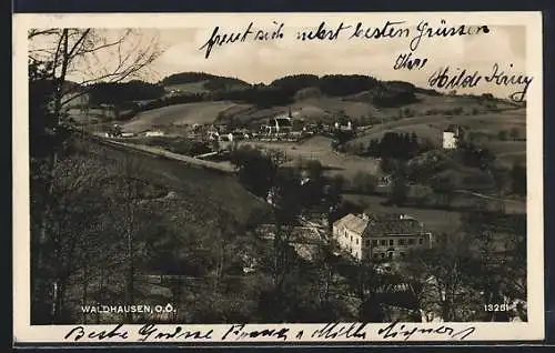 AK Waldhausen /O. Ö., Ortspartie mit Kirche