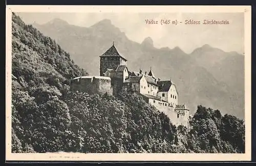 AK Vaduz, Schloss Liechtenstein mit Bergpanorama