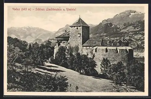 AK Vaduz, Schloss Liechtenstein u. Rheintal