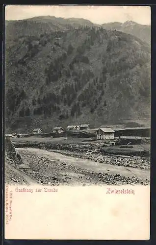 AK Zwieselstein, Gasthaus zur Traube