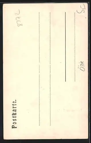 AK Zwieselstein, Gasthaus zur Traube