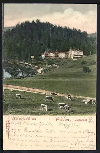 AK Welsberg, Partie am Wildbad Waldbrunn