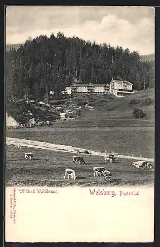 AK Welsberg, Partie am Wildbad Waldbrunn