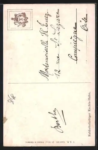 Künstler-AK Portrait eines prächtigen Hahns