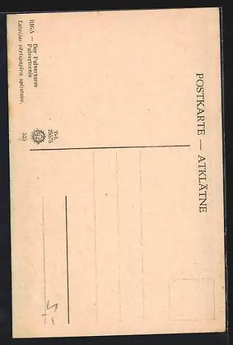 AK Riga, Strasse zum Pulverturm