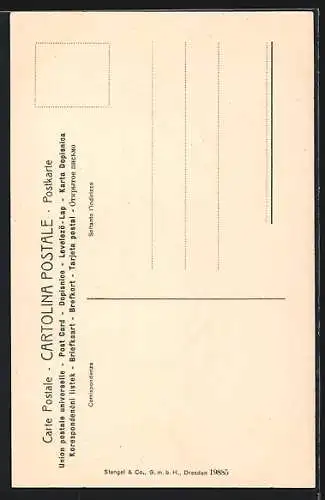 Lithographie Venezia-Venedig, Canale grande, Palazzo Rezzonico, Gondeln