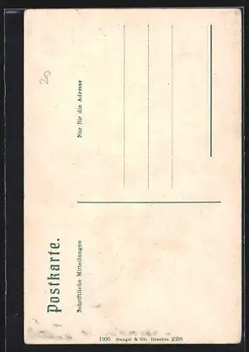 AK Bozen, Denkmal Walter v. d. Vogelweide