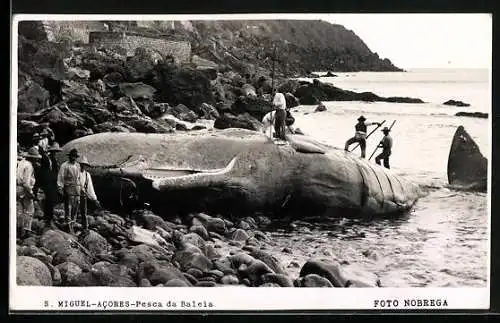 AK S. Miguel-Acores, Pesca da Baleia, Walfang