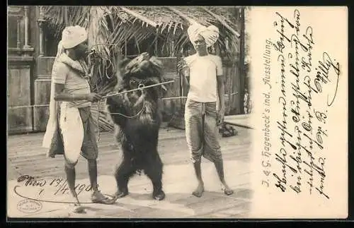 AK Jardin Zoologique d`Acclimatation, Les Malabares, Tanzbär