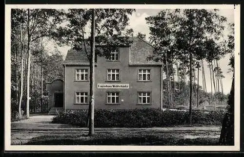 AK Neuschleffin, Logierhaus Waldschänke, Bes. Werner Vick