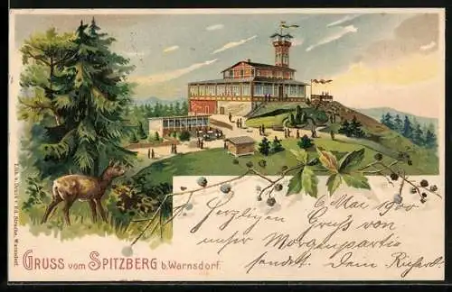 Lithographie Spitzberg, Gasthaus u. Aussichtsturm, Reh