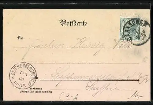 Lithographie Spitzberg, Gasthaus u. Aussichtsturm, Reh