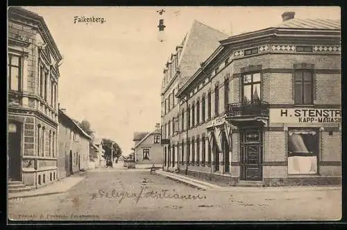AK Falkenberg, Panorama