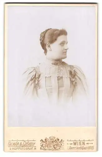 Fotografie Kalmár & Székely, Wien, I. Franz Josefs Quais 15, Porträt einer Dame im Profil
