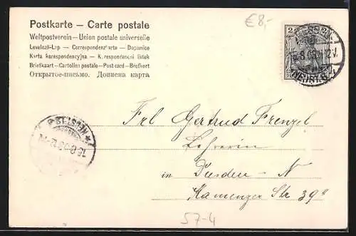 AK Stillleben mit roten Trauben und Zweig