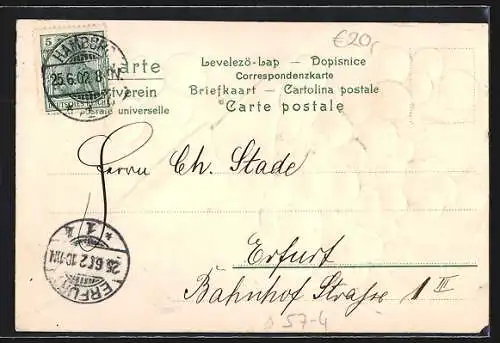 Präge-AK Weintrauben und -blatt in Zeitung eingewickelt