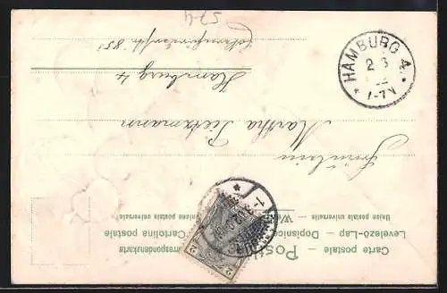 AK Kirschen in Zeitungspapier gewickelt, Obst