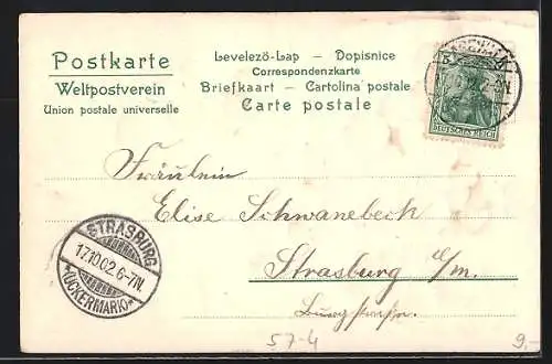 Präge-AK Weintrauben in Zeitung eingewickelt