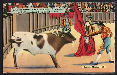 AK Juarez, Matador and Bull