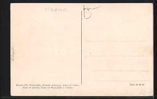 AK Manzanillo, Muelle y Puerto