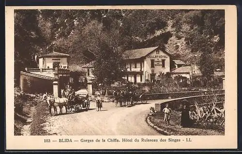 AK Blida, Gorges de la Chiffa, Hôtel du Ruisseau des Singes