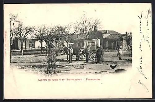 AK Sidi-Bel-Abbes, Avenue et route d`ain Temouchent - Parmentier