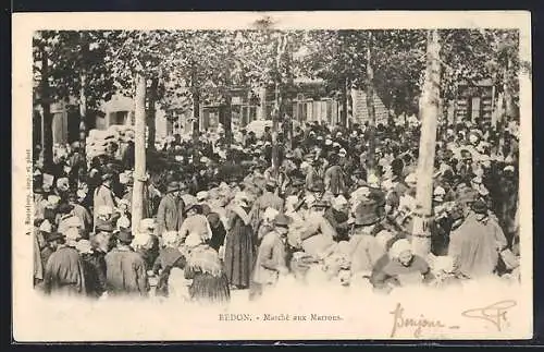 AK Redon, Marché aux Marrons