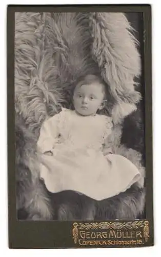 Fotografie Georg Müller, Cöpenick, Schlossstr. 16, Porträt eines kleinen Kindes