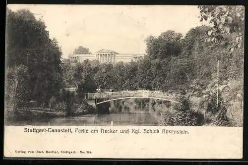 AK Stuttgart-Cannstadt, Partie am Neckar und Kgl. Schloss Rosenstein