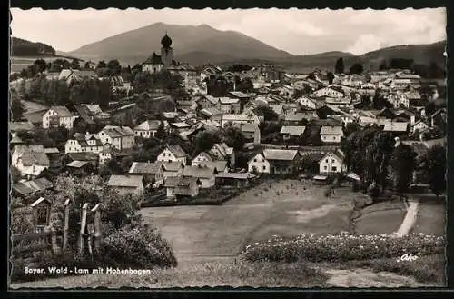 AK Lam /Bayer. Wald, Ortsansicht mit Hohenbogen