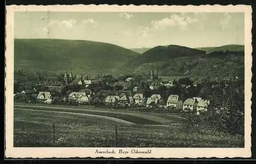 AK Amorbach, Ortsansicht mit Villenviertel und Abteikirche