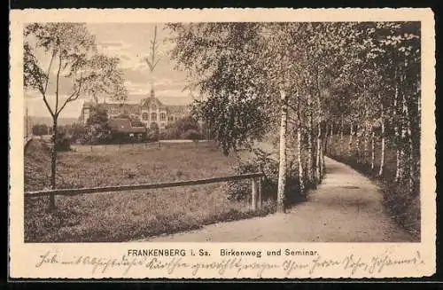 AK Frankenberg i. Sa., Birkenweg und Seminar