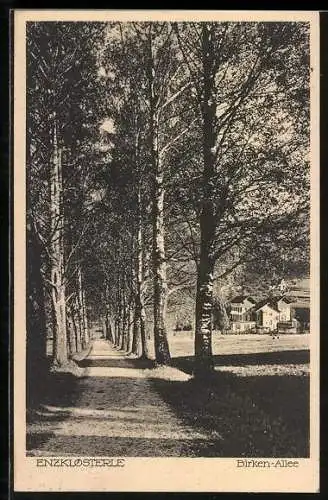 AK Enzklösterle, Partie der Birken-Allee