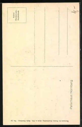 AK Nürnberg, Pellerhaus mit Denkmal