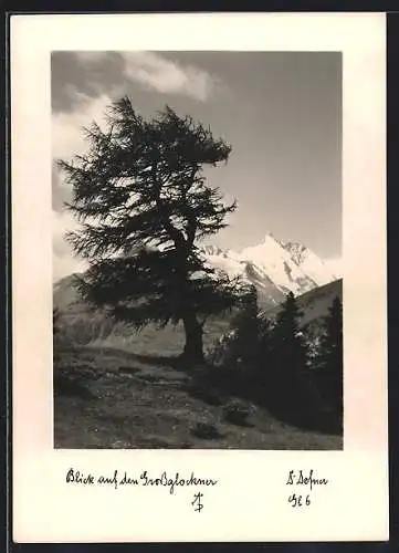 Foto-AK Adalbert Defner: Blick auf den Grossglockner