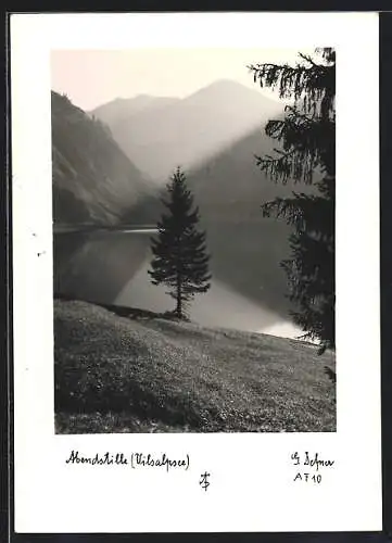 Foto-AK Adalbert Defner: Vilsalpsee, Abendstille