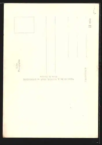 Foto-AK Adalbert Defner: Innsbruck, Goldenes Dachl