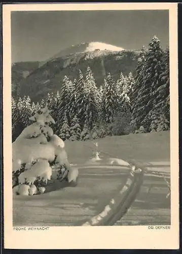 Foto-AK Adalbert Defner: Verschneite Berglandschaft im Sonnenschein