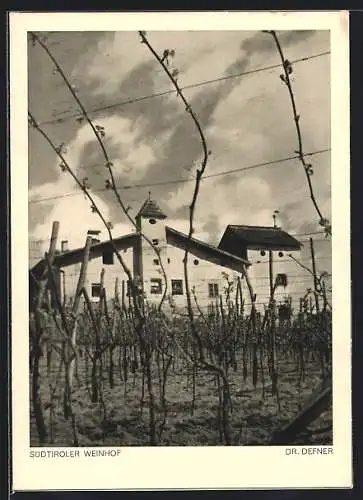 Foto-AK Adalbert Defner: Südtiroler Weinhof