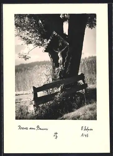 Foto-AK Adalbert Defner: Kreuz am Baum