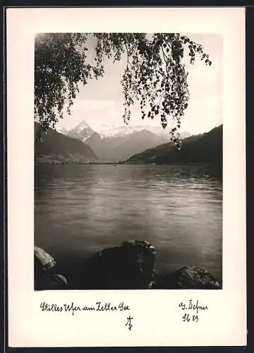 Foto-AK Adalbert Defner: Stilles Ufer am Zeller See