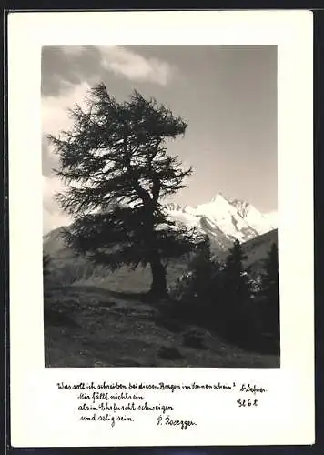 Foto-AK Adalbert Defner: Berglandschaft mit verschneiten Gipfeln