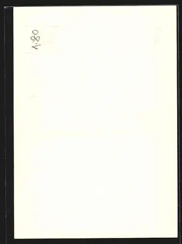 Foto-AK Adalbert Defner: Wien, Michaelerkirchev. d. Stallburggasse