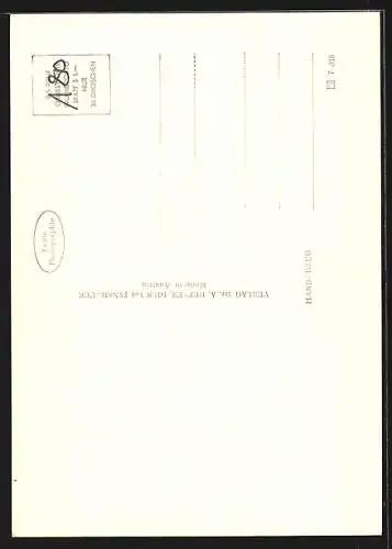 Foto-AK Adalbert Defner: Wien, Michaeler-Kirche mit Strassenpartie