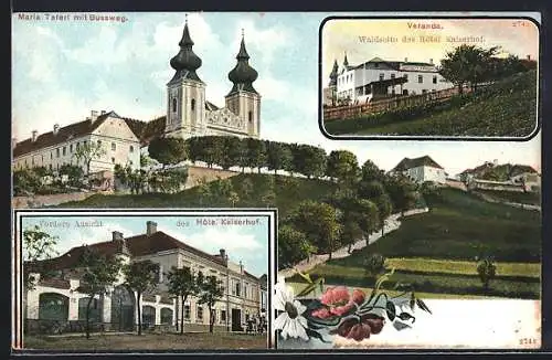 AK Maria Taferl, Vorder Ansicht und Waldseite des Hotel Kaiserhof, Veranda, Kirche