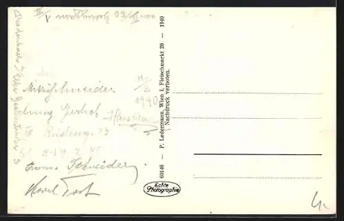 AK Breitenstein am Semmering, Alpenhotel Orthof gegen Rax