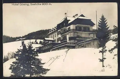 AK Gösing, Hotel Gösing im Schnee