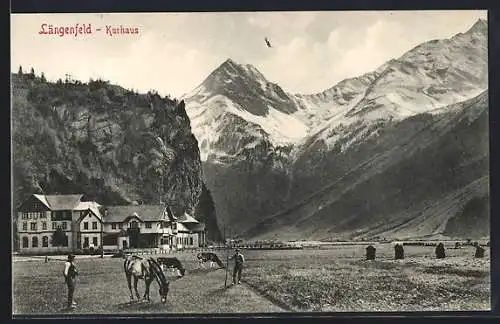 AK Längenfeld, Kurhaus mit Pferd und Kühen