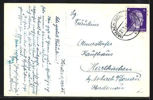 AK Haslach /Oberdonau, Strassenpartie mit Geschäften