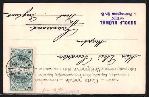 Lithographie Wien, Karlskirche in einem Buch, Passepartout